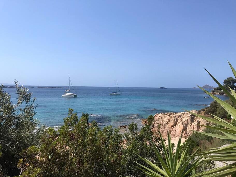 Bel App T2 En Bord De Mer Vue Sanquinaires Piscine Αζάτσιο Εξωτερικό φωτογραφία