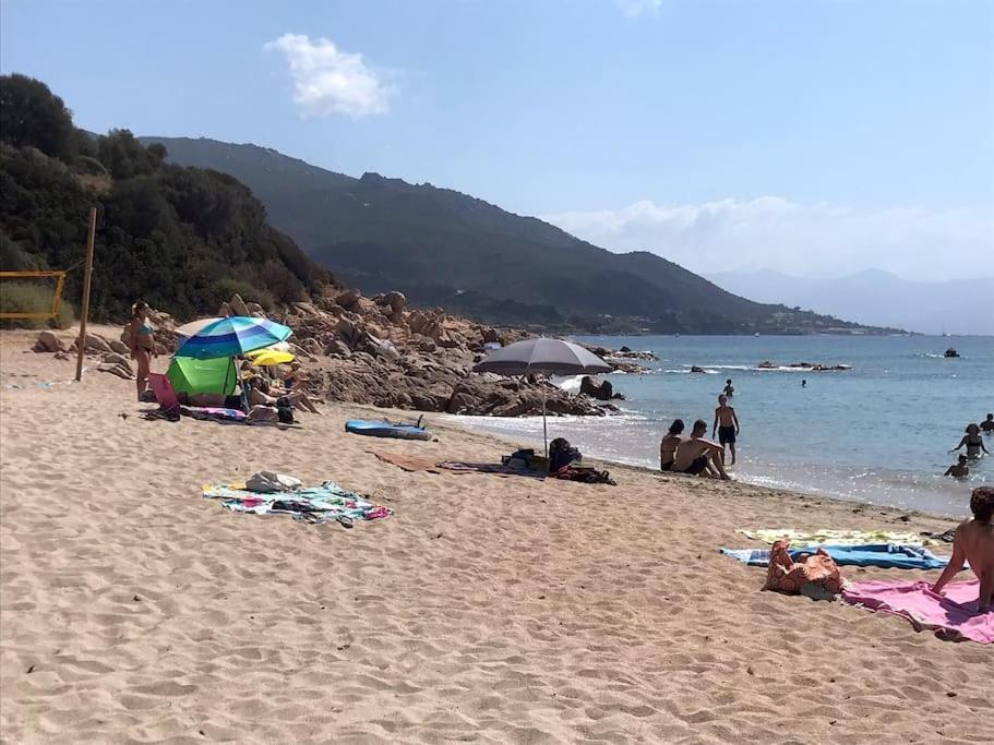 Bel App T2 En Bord De Mer Vue Sanquinaires Piscine Αζάτσιο Εξωτερικό φωτογραφία