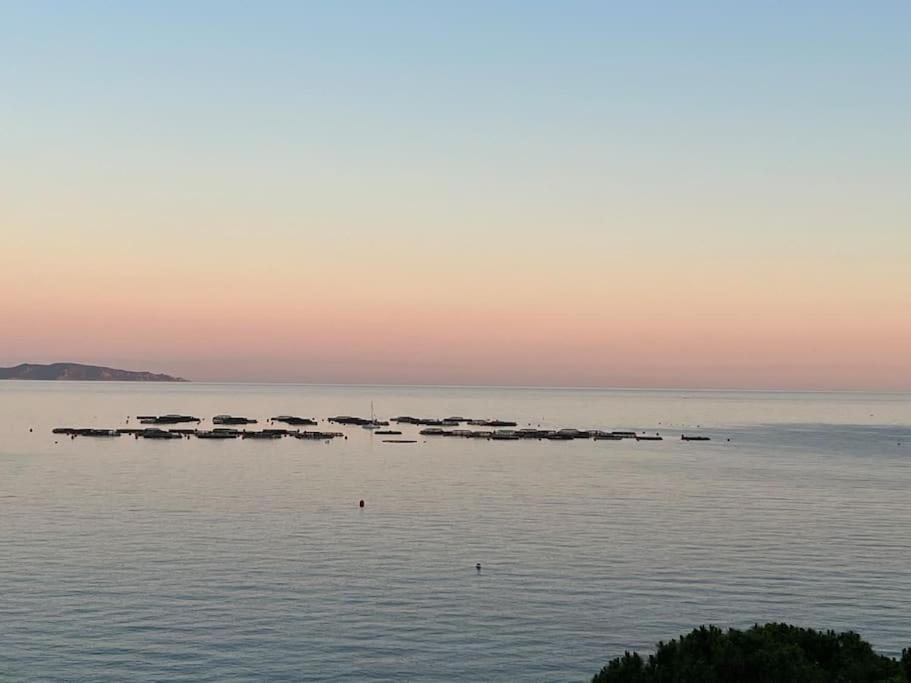 Bel App T2 En Bord De Mer Vue Sanquinaires Piscine Αζάτσιο Εξωτερικό φωτογραφία